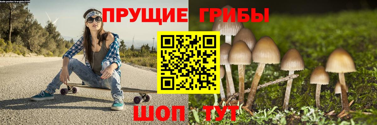 Псилоцибиновые грибы ЛСД Майкоп