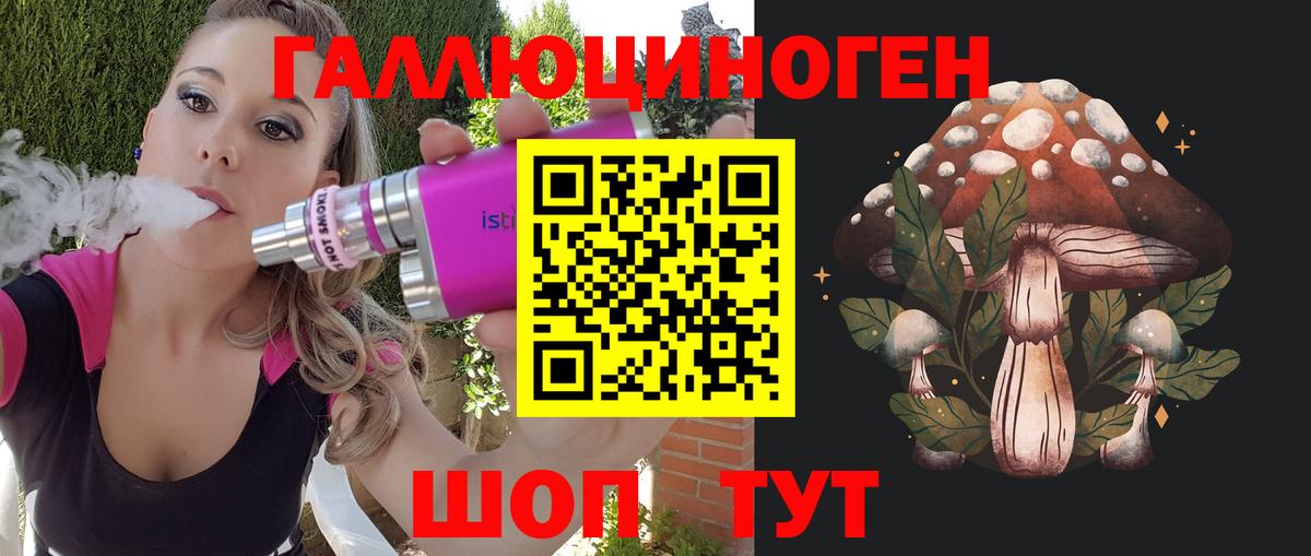 Майкоп  Галлюциногенные грибы Psilocybe  Вход с VPN 
